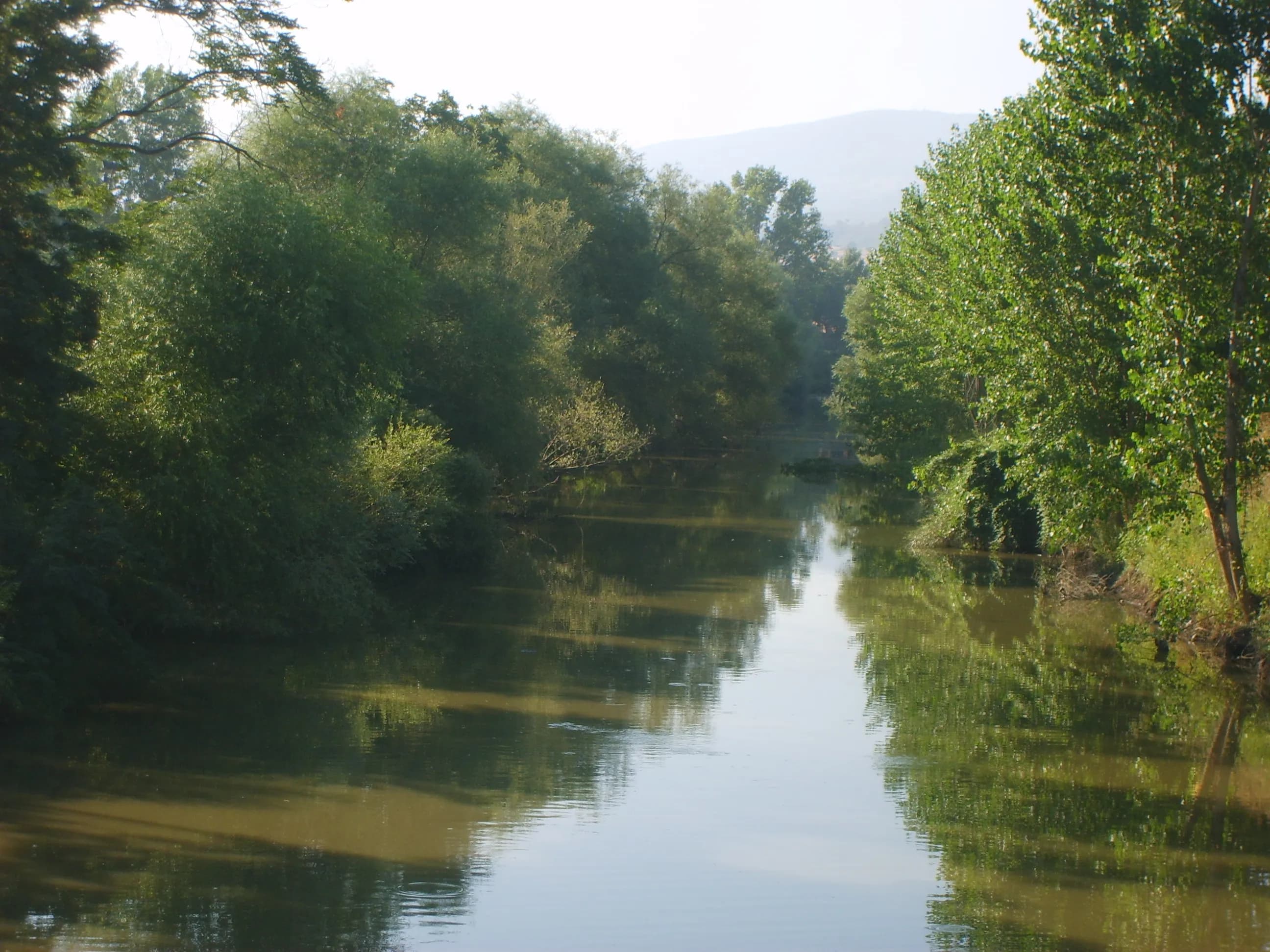 Akköprü (Misya)