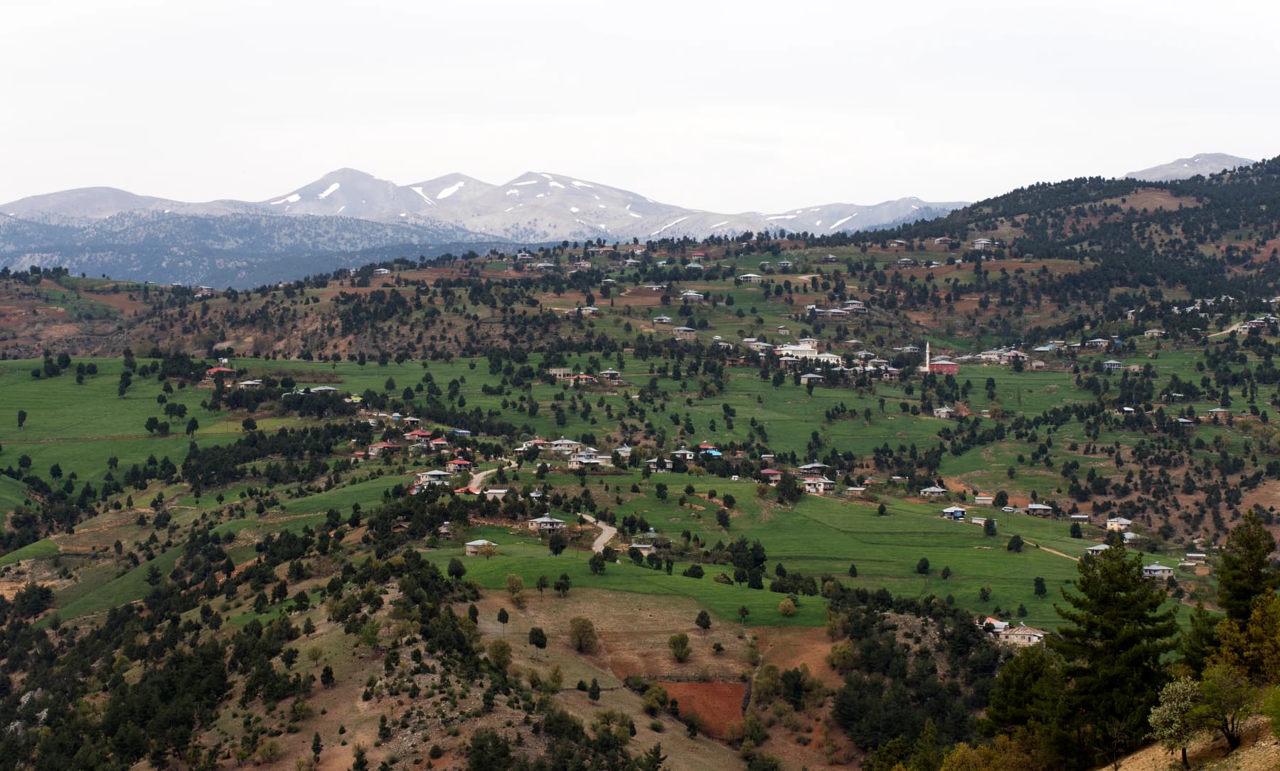 Aksaağaç Mahallesi