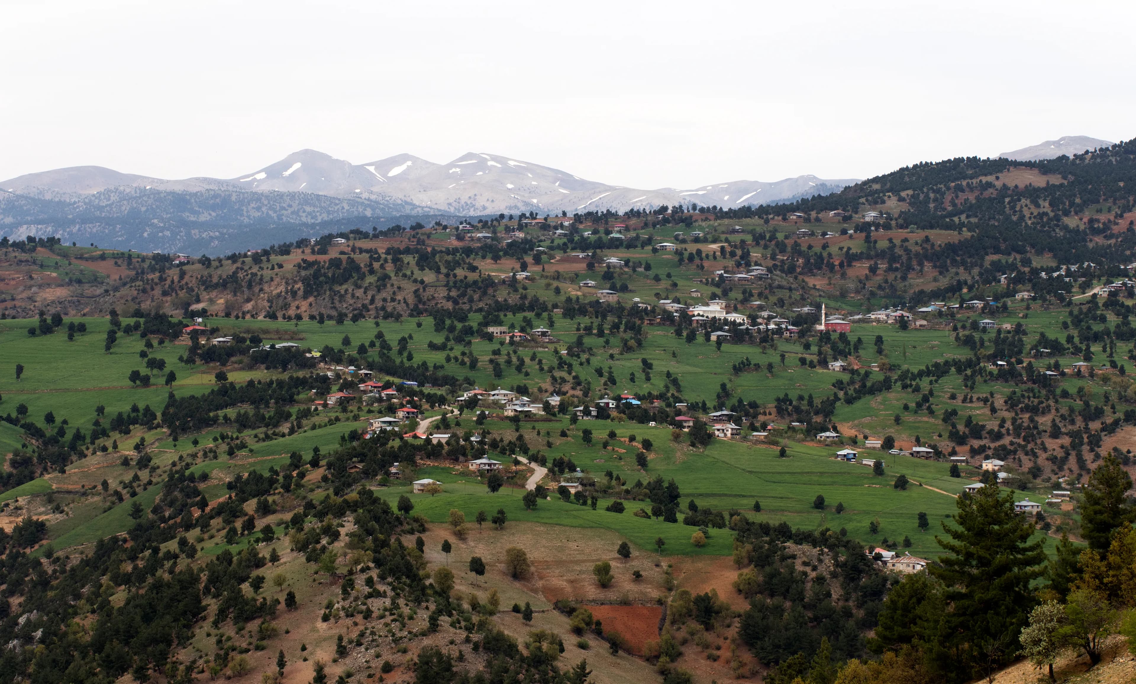 Aksaağaç Mahallesi