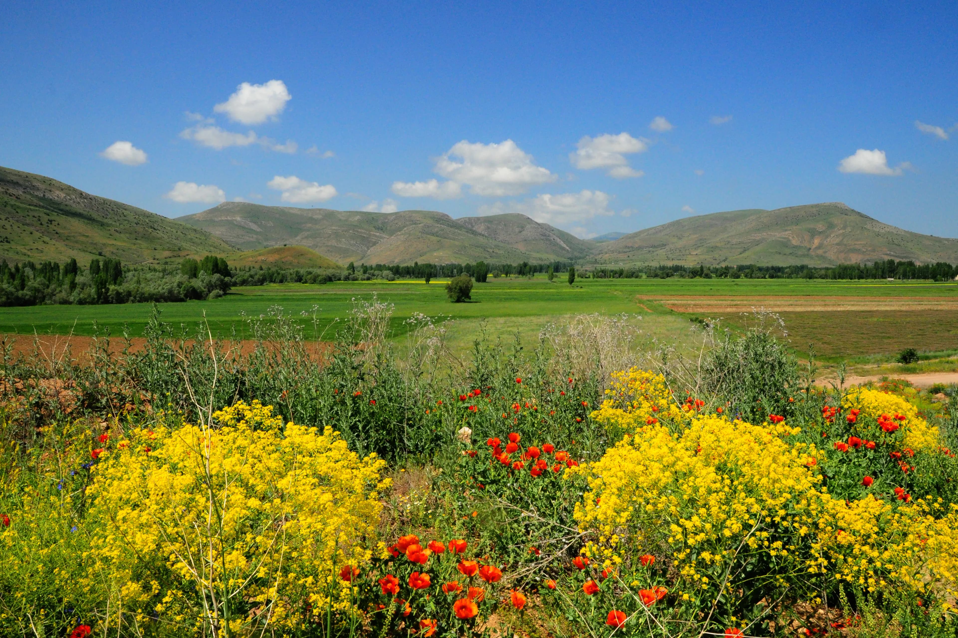 Akşar Köyü (Balahor)