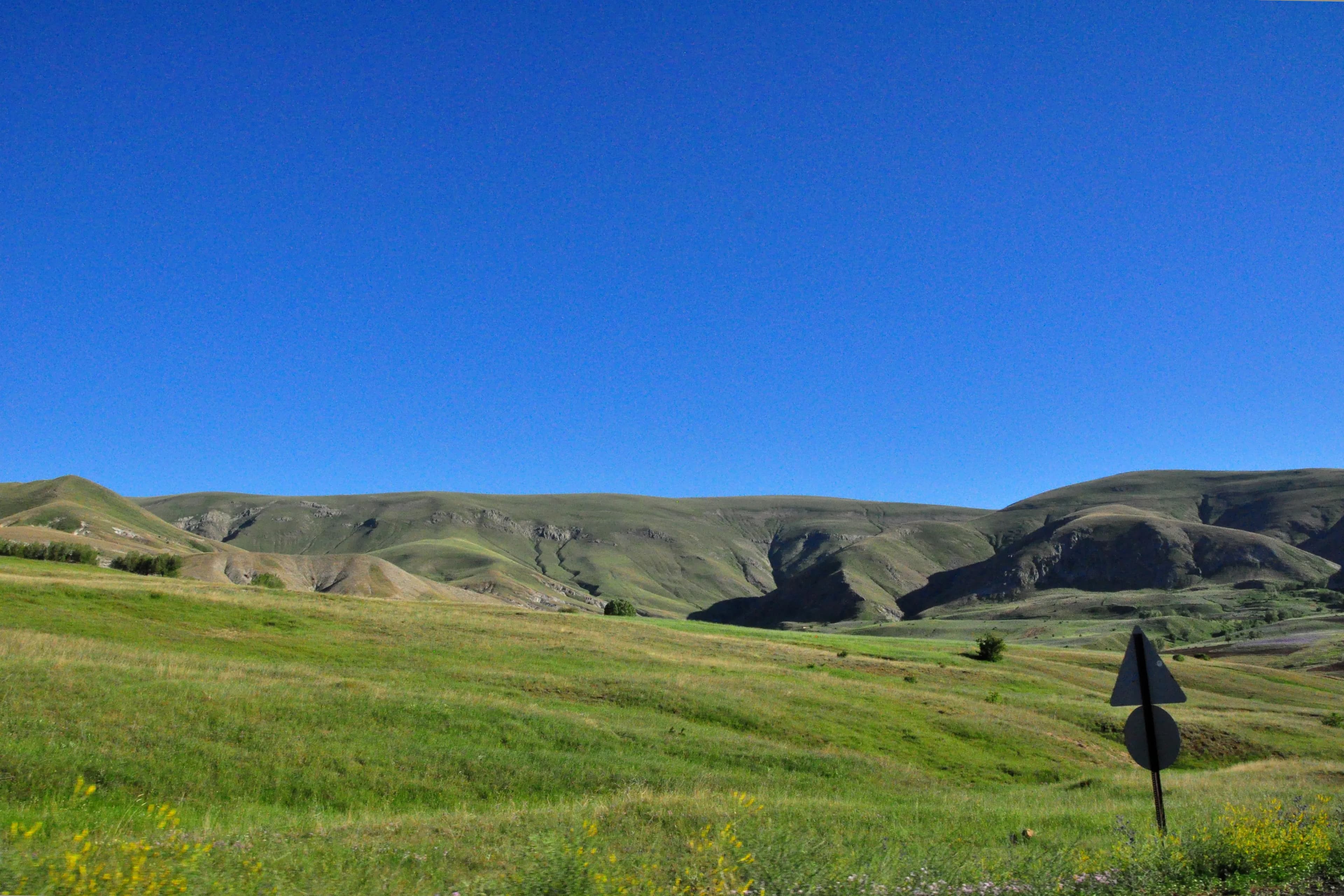 Altınyayla, Sivas