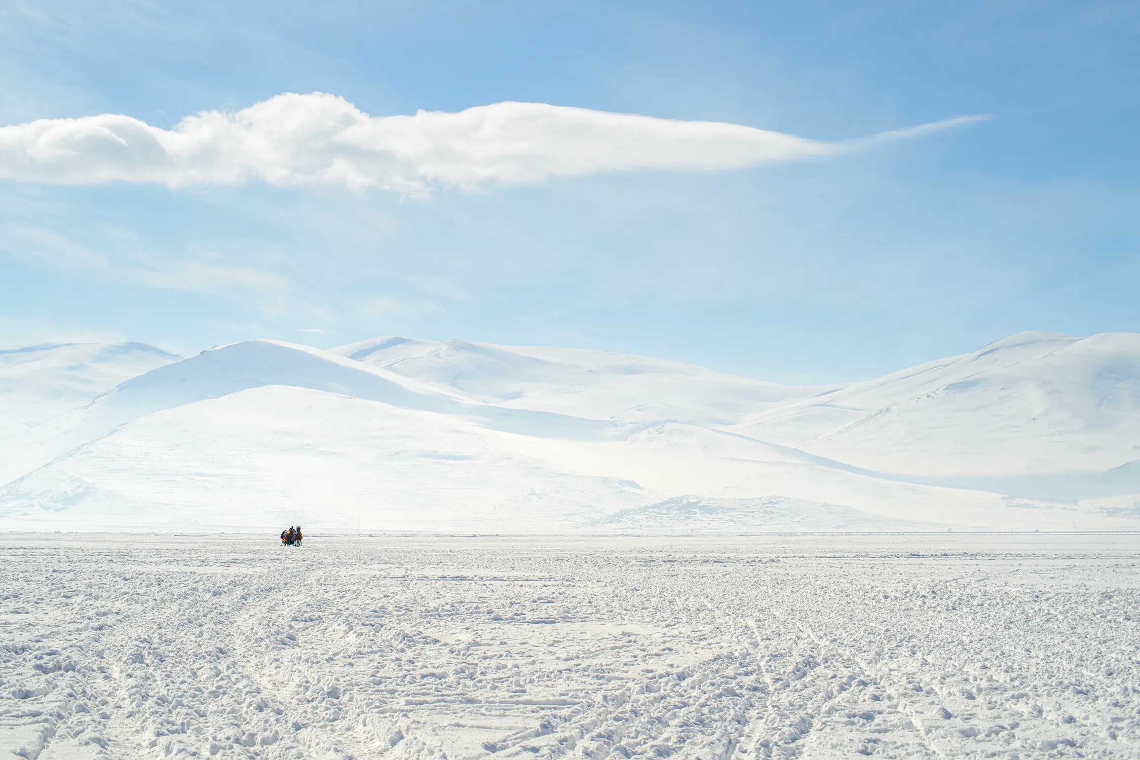 Ardahan