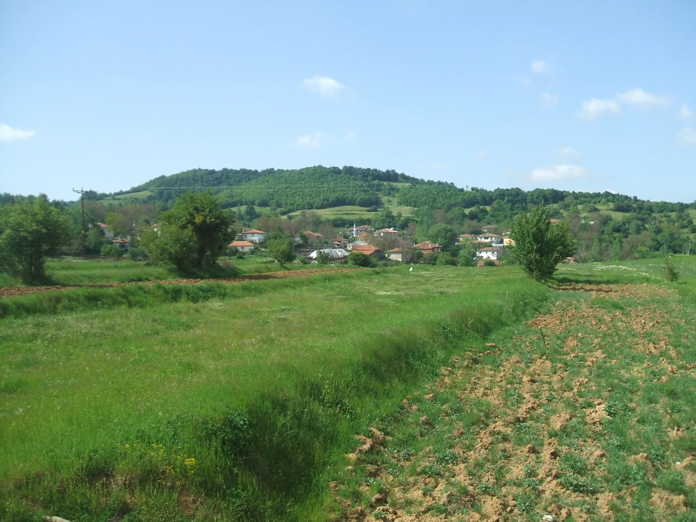 Armutveren Köyü
