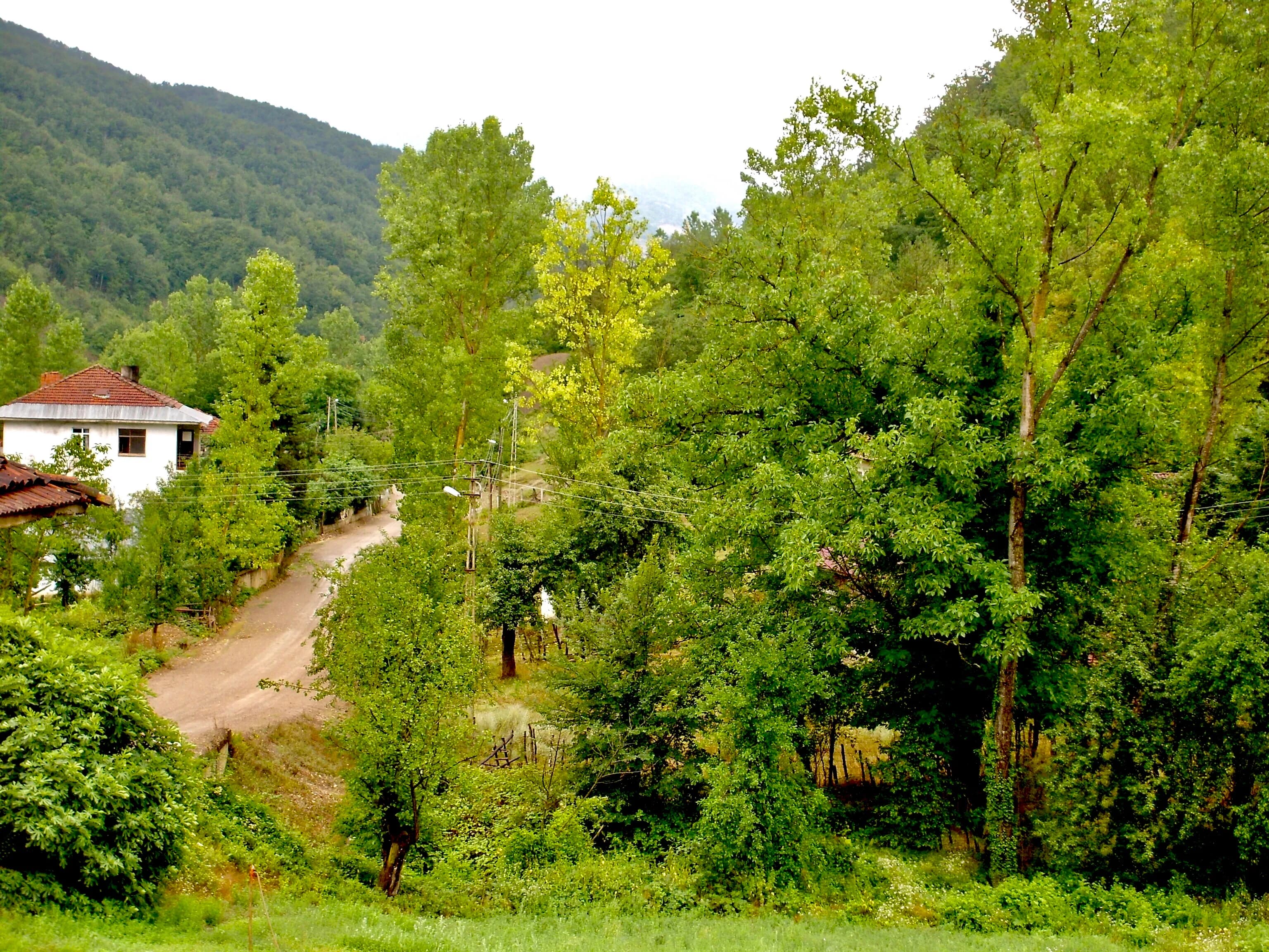 Arpacık Köyü