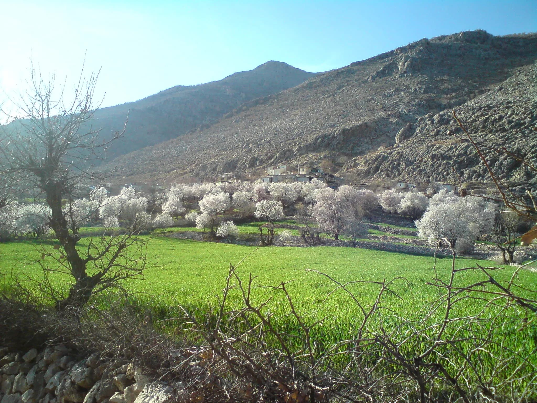 Aydınpınar Köyü