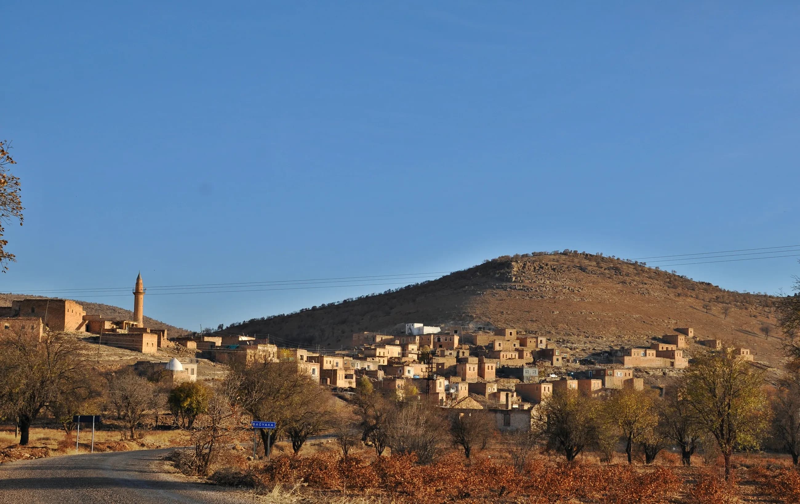 Bağyaka