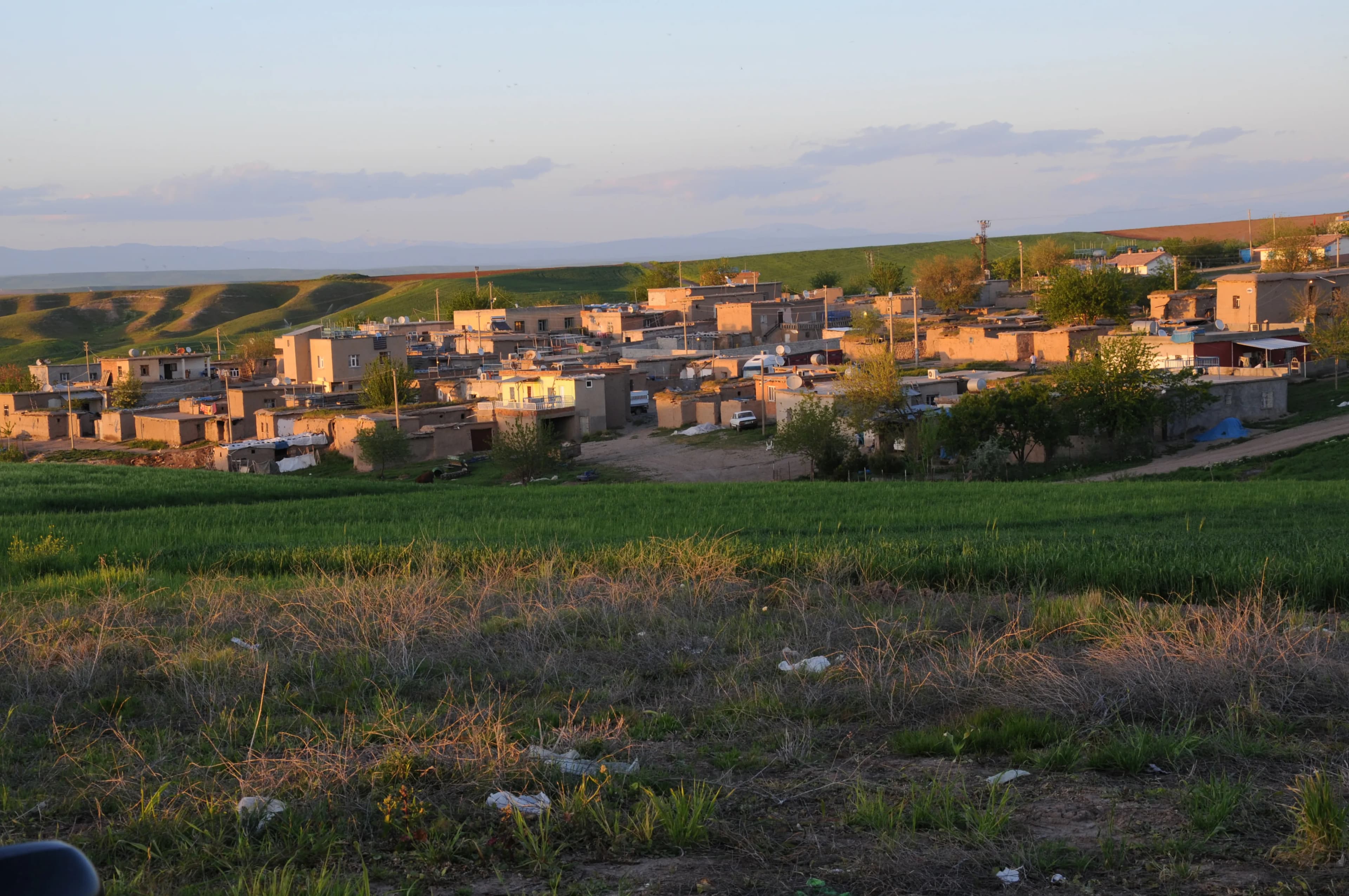 Başören Mahallesi