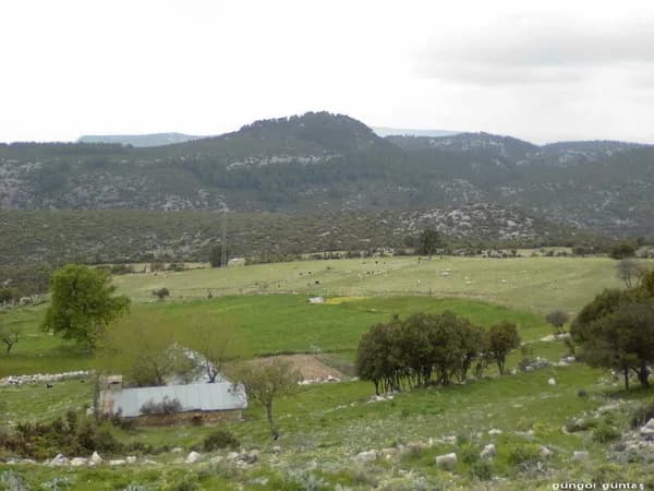 Boğazköy, Sütçüler