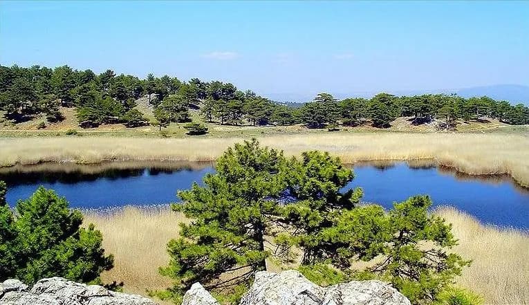 Bozkurt (Denizli)