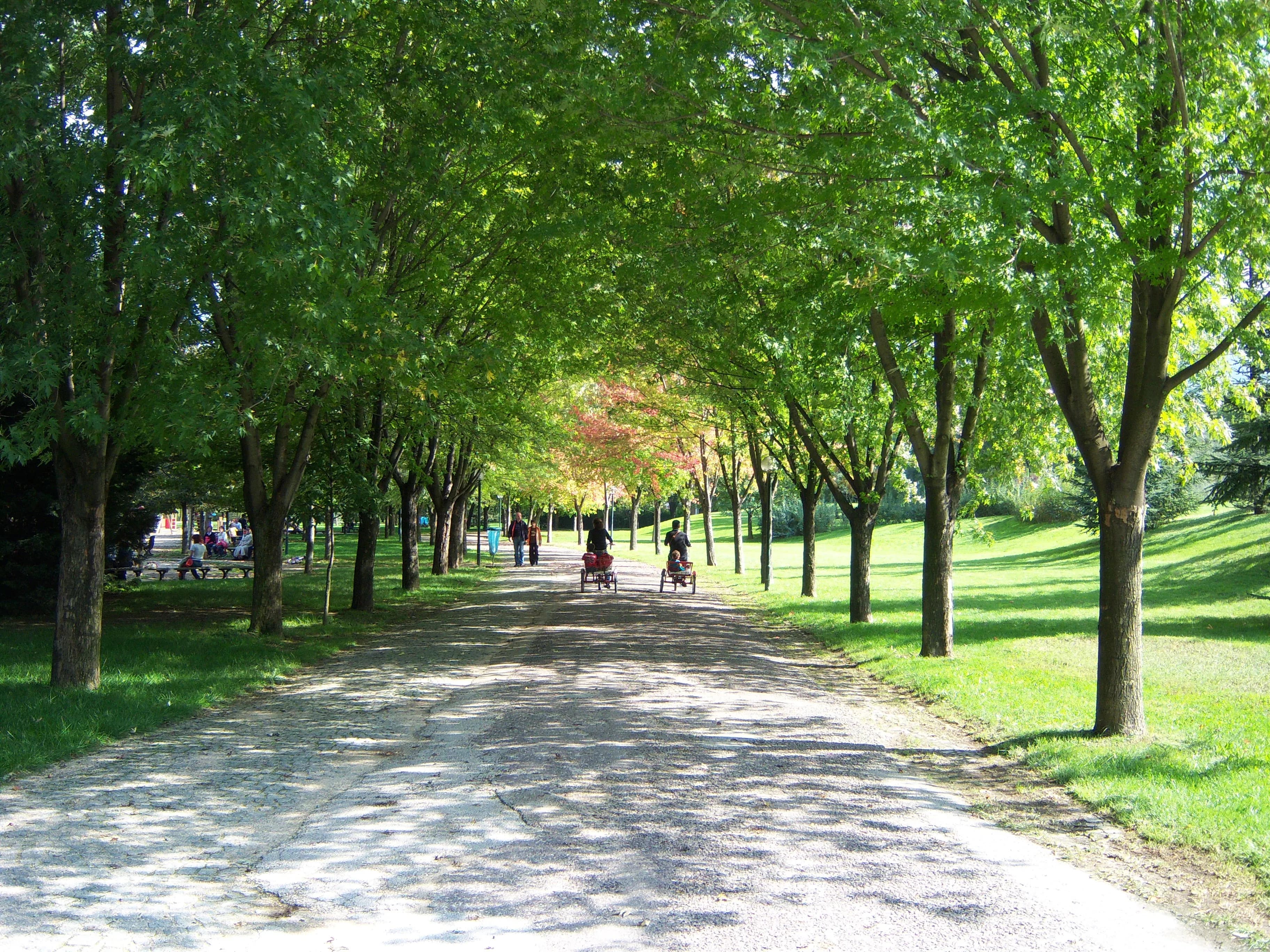 Bursa Botanik Parkı