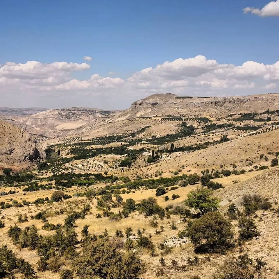 Çakıllıpınar Mahallesi