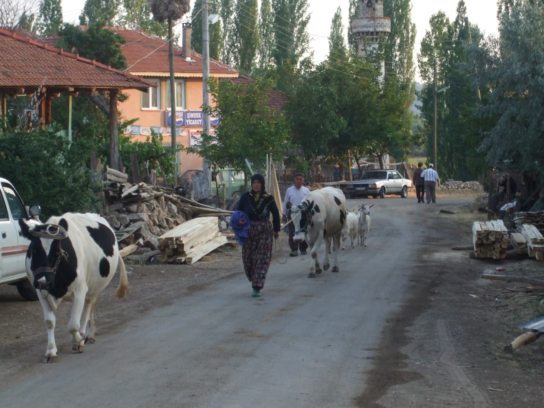 Çaltılar