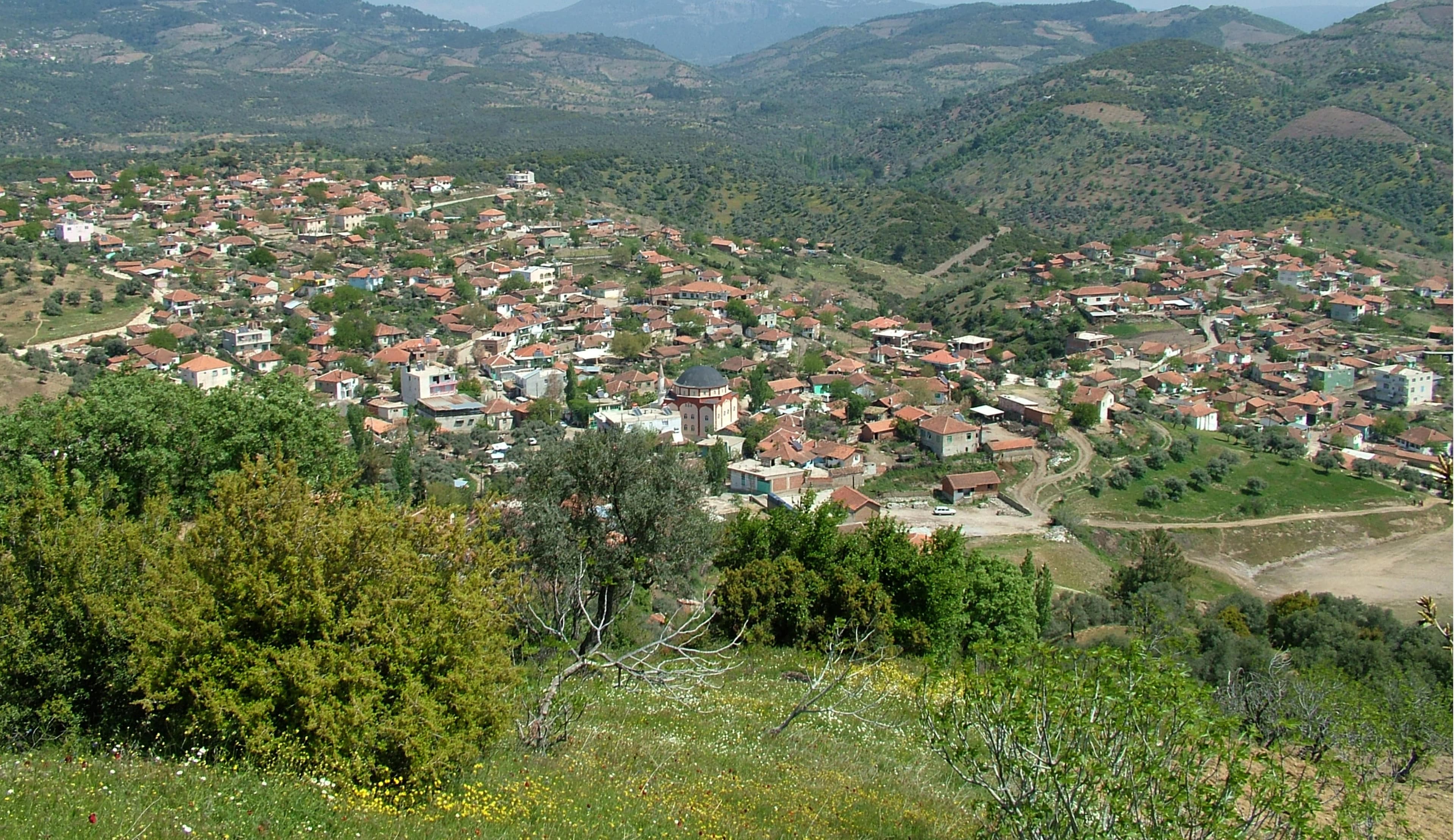 Çamköy Mahallesi