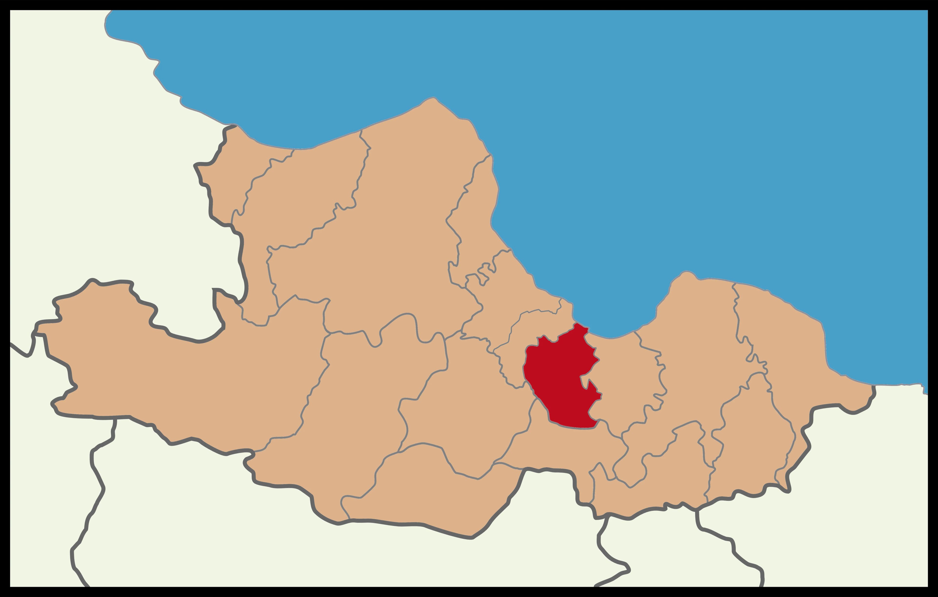 Canik