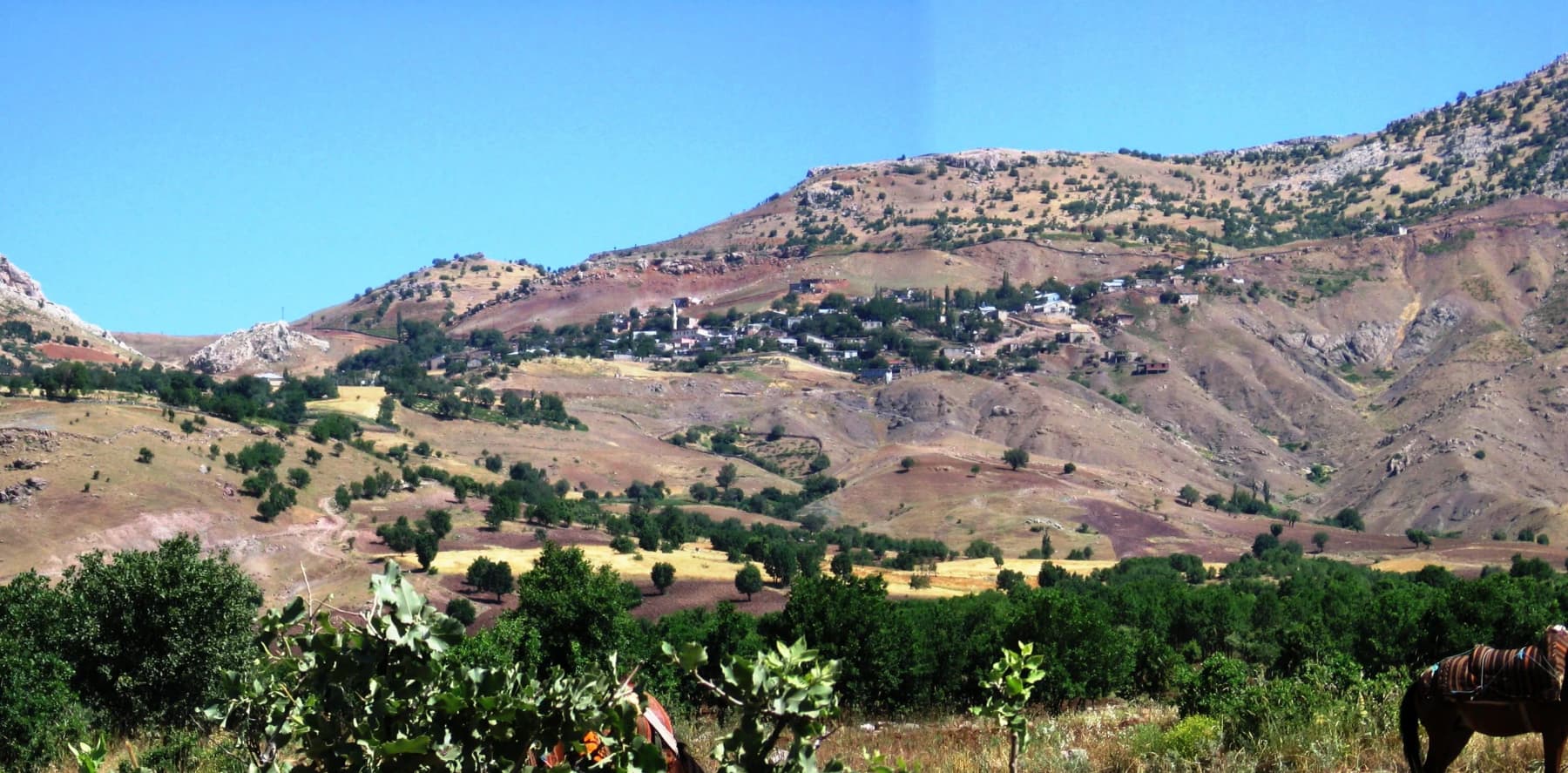 Çataklı Köyü