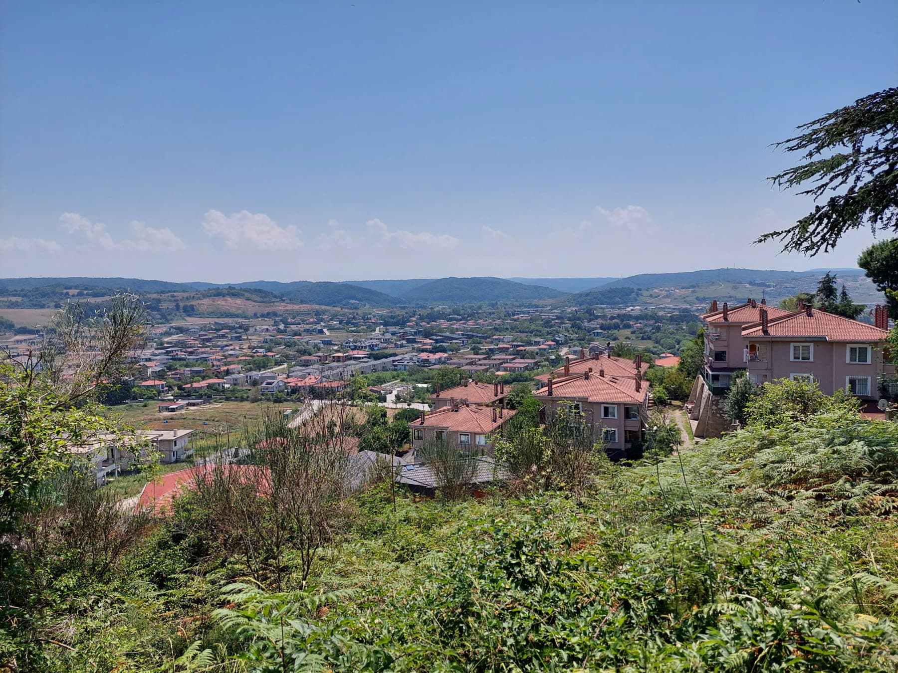 Çavuş Mahallesi