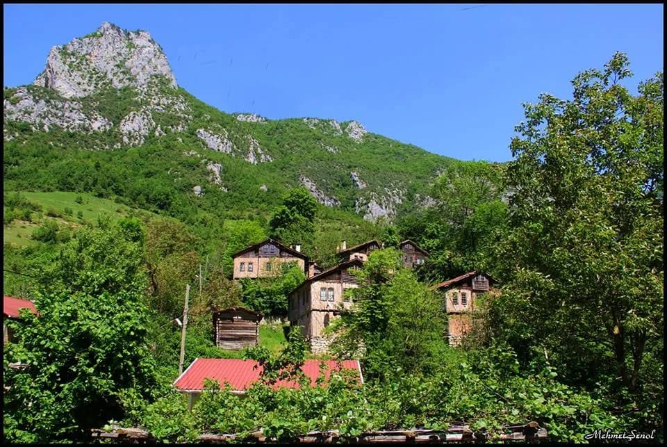 Çaydüzü Köyü