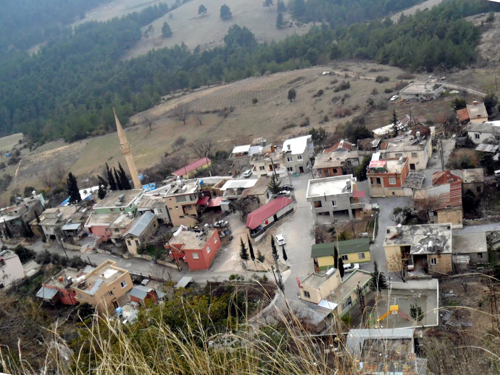 Cemilli