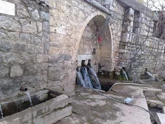 Çitlibahçe