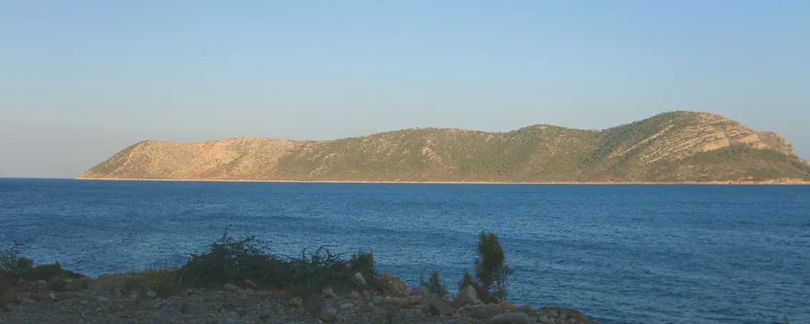 Dana Adası (Pityussa)