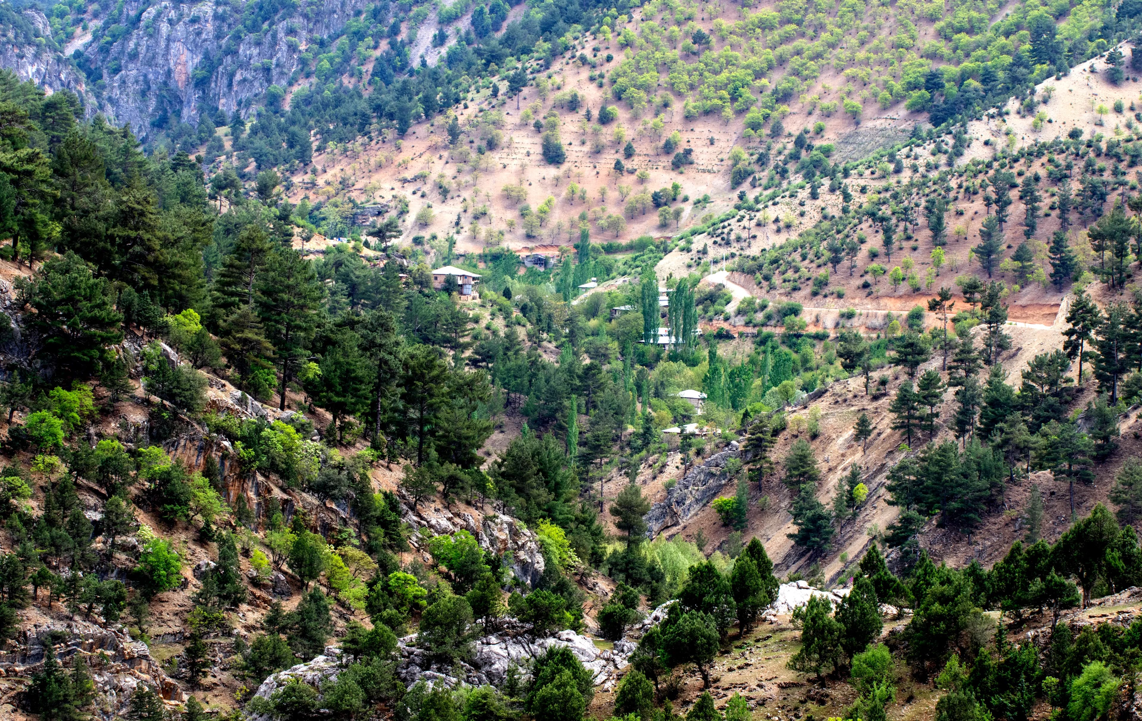 Değirmenciuşağı