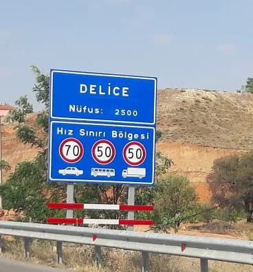 Delice