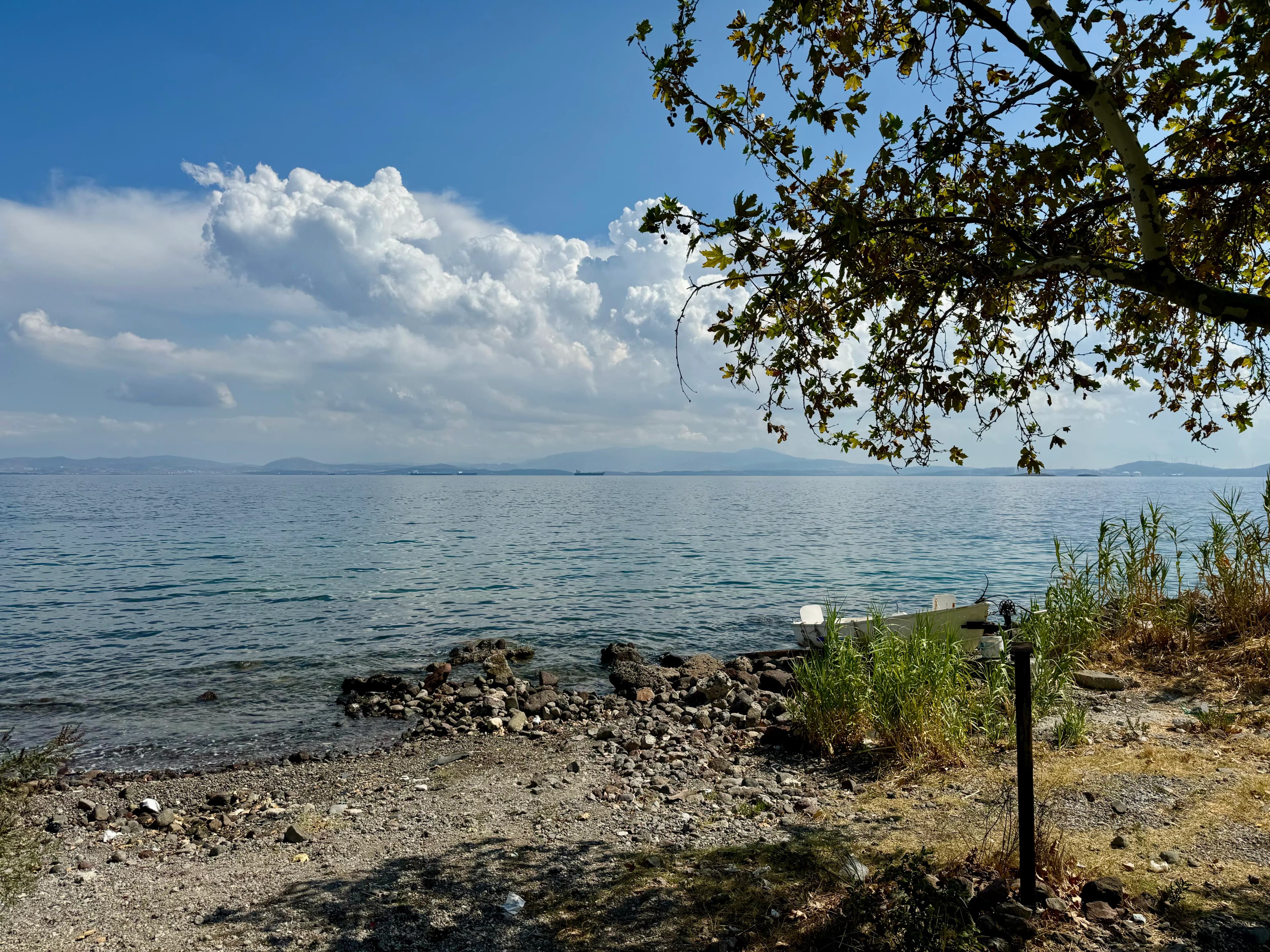 Denizköy, Dikili