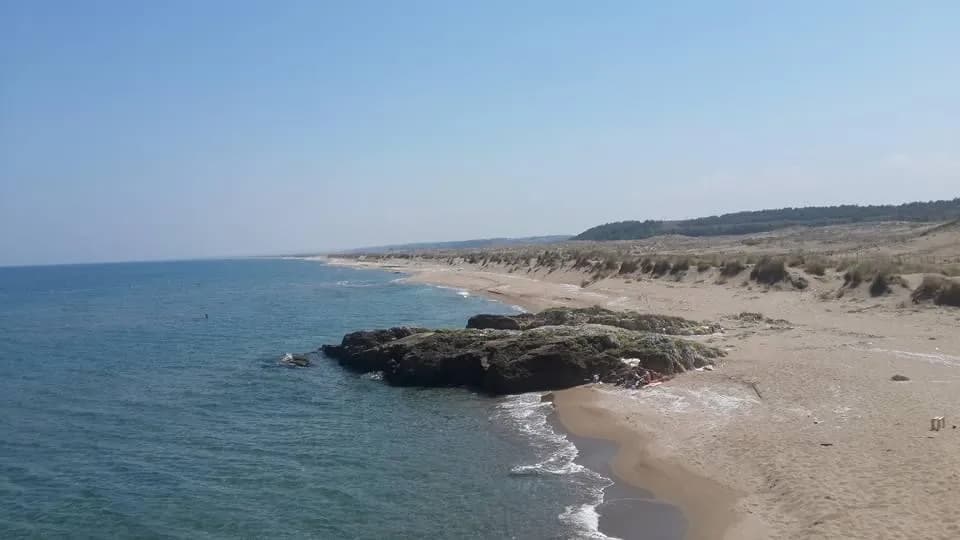 Dikili Tuzağzı