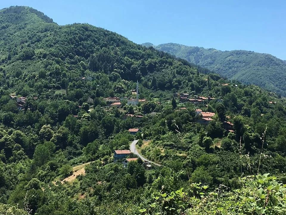 Doğanyurt