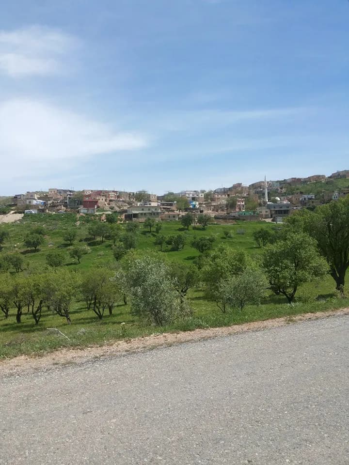 Doruk Köyü