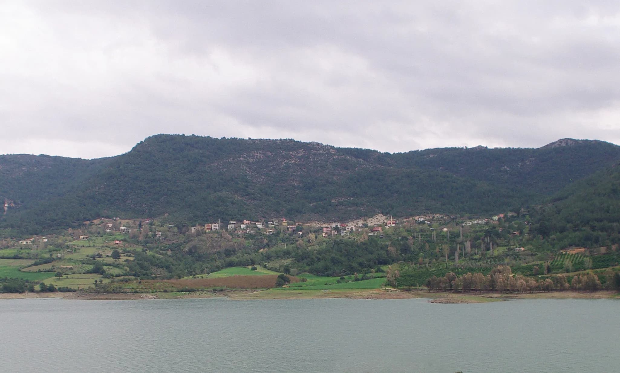 Gedikli Mahallesi
