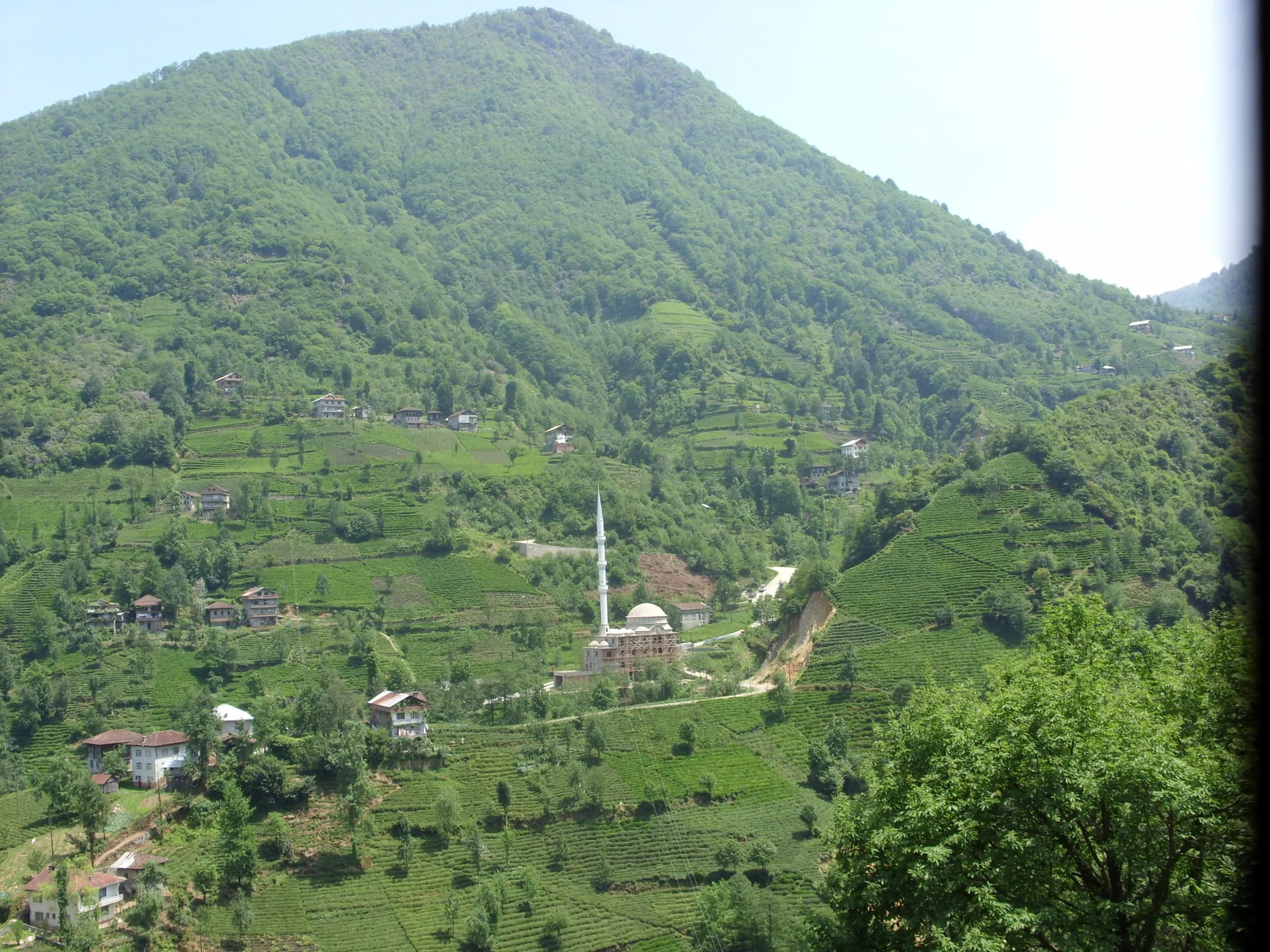 Güneysu
