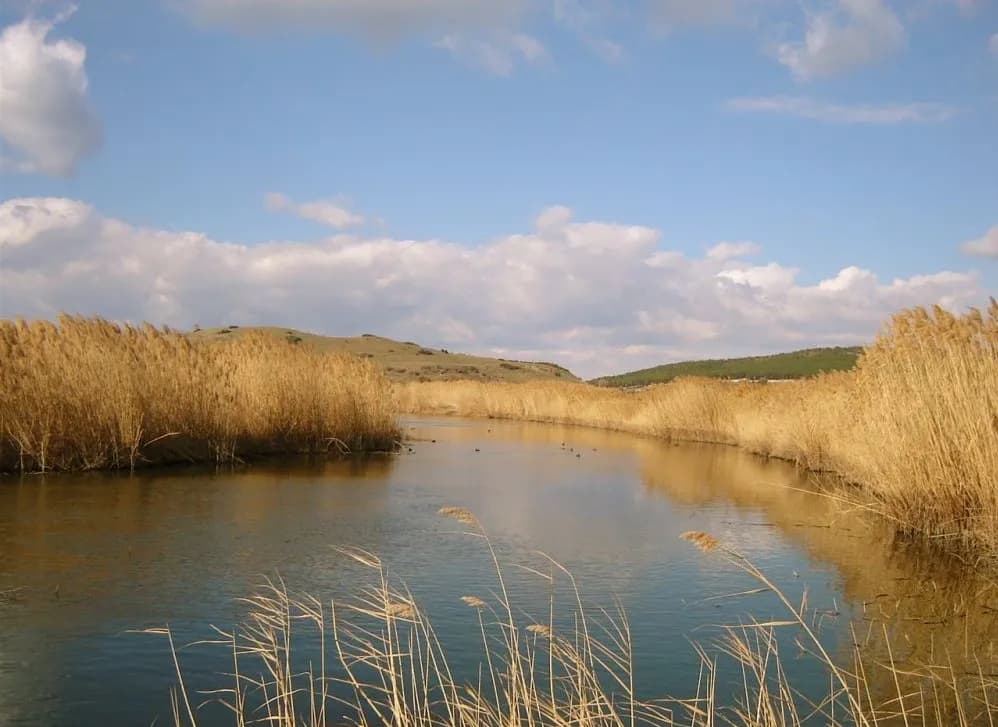Güzelhisar Çayı (Pythikos)
