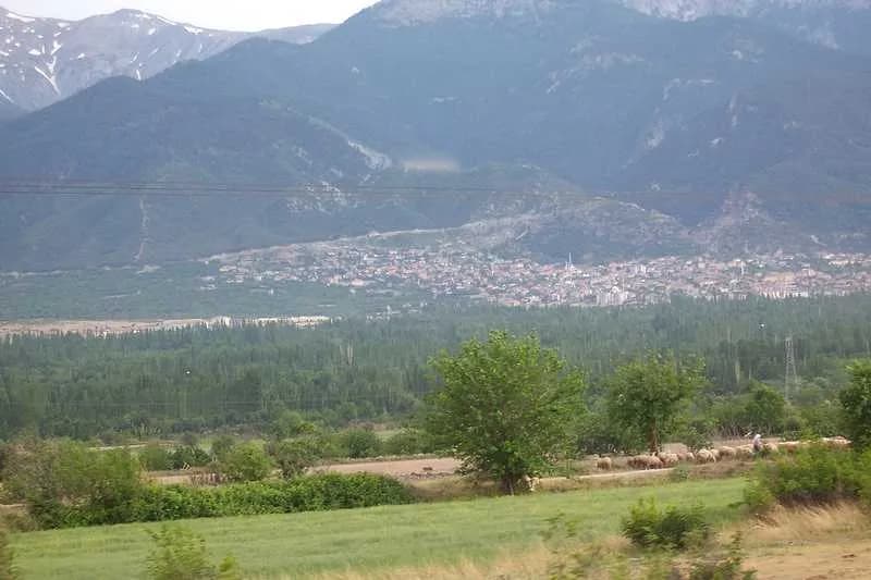 Honaz