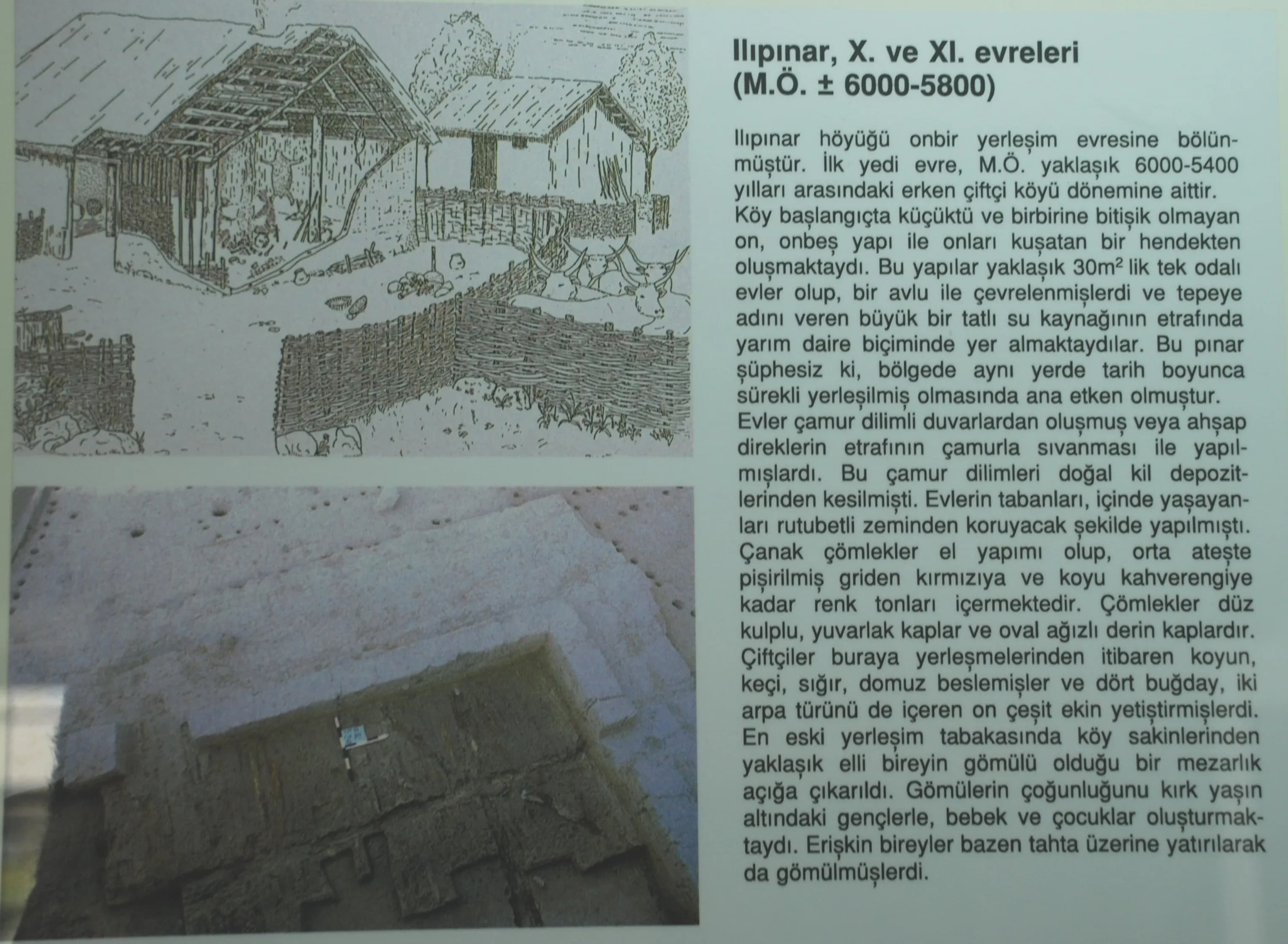 Ilıpınar Höyüğü