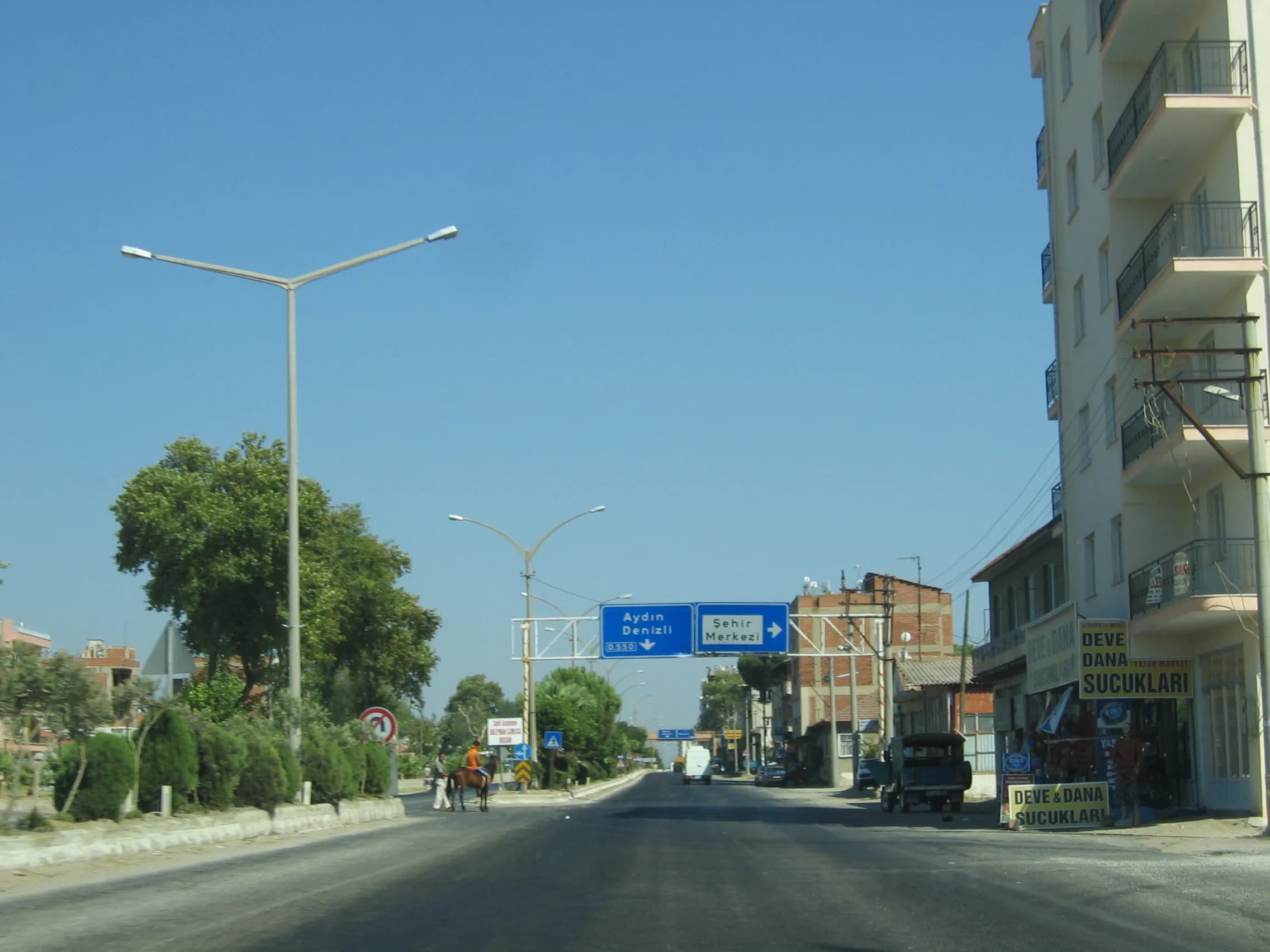 İncirliova