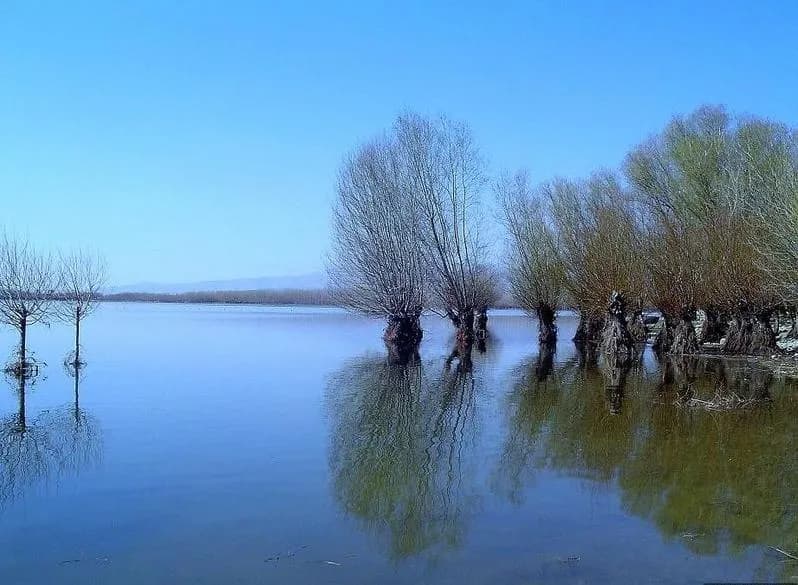 Işıklı Gölü