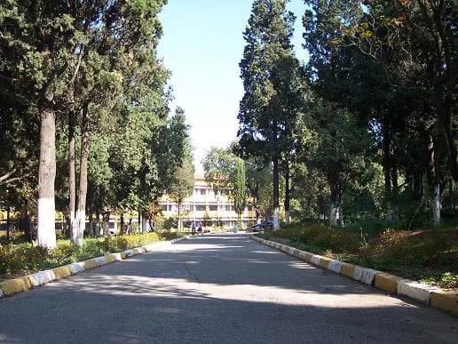 İstanbul Atatürk Fen Lisesi
