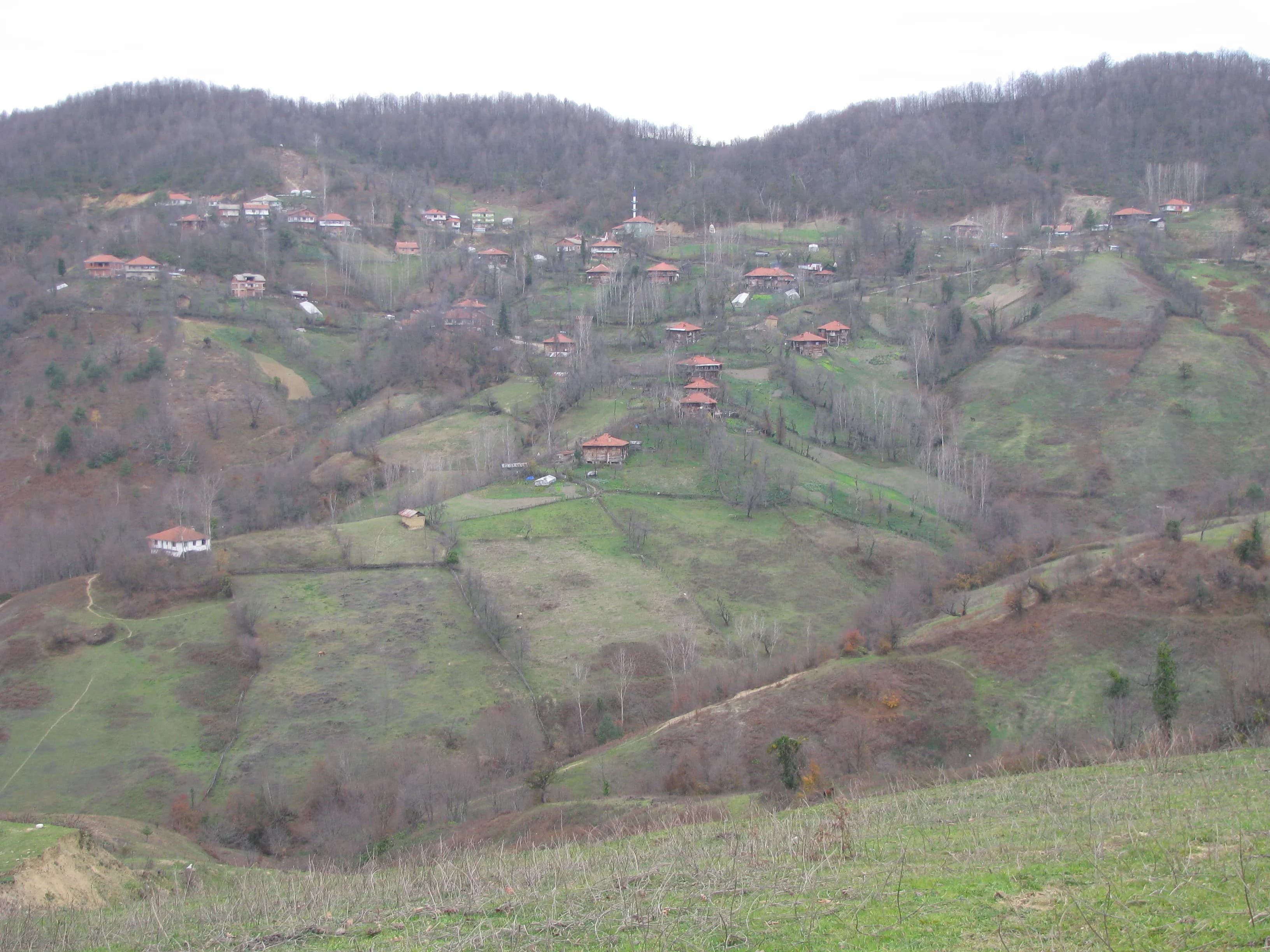 Karşıyaka Köyü