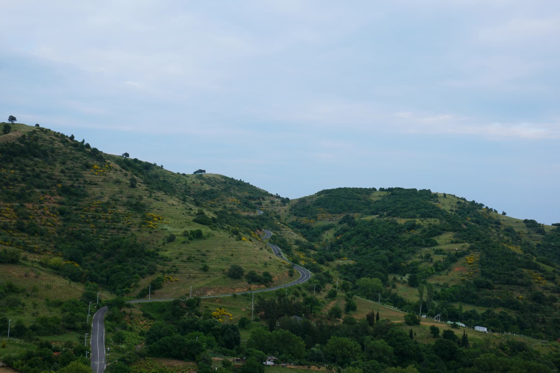 Kartaltepe Tabiat Parkı