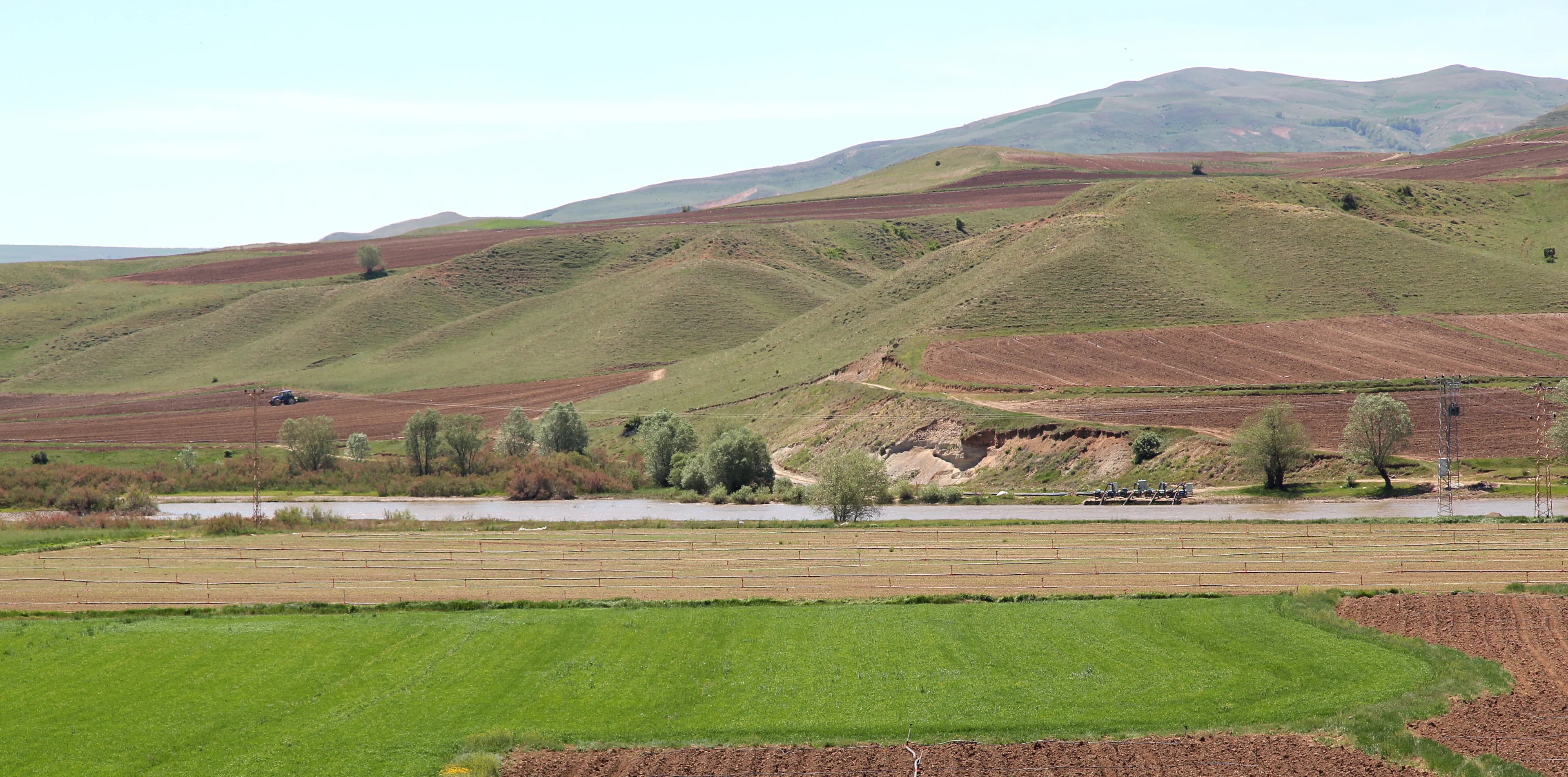 Kayalıpınar