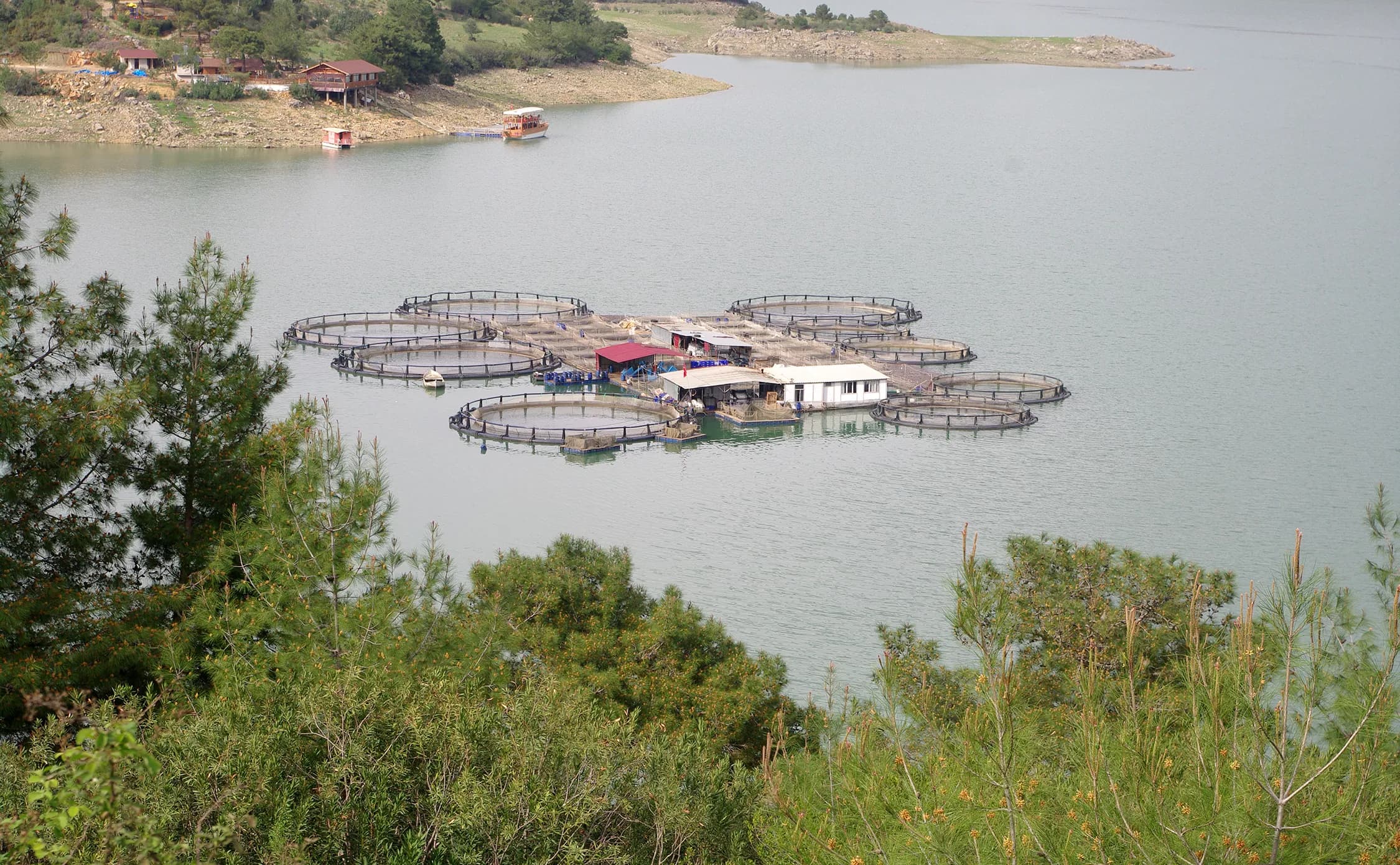 Kozan Barajı