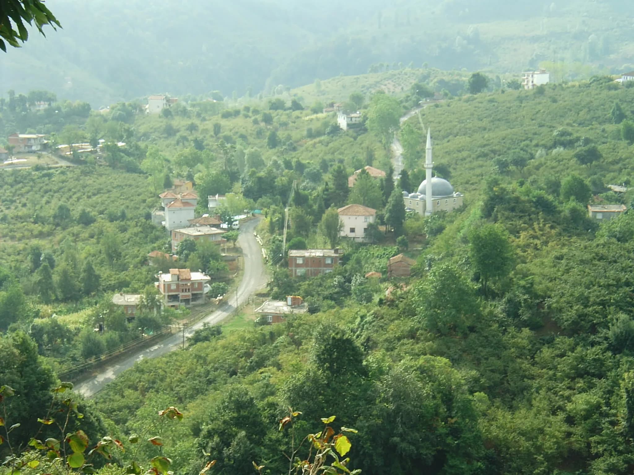 Kuşça Mahallesi