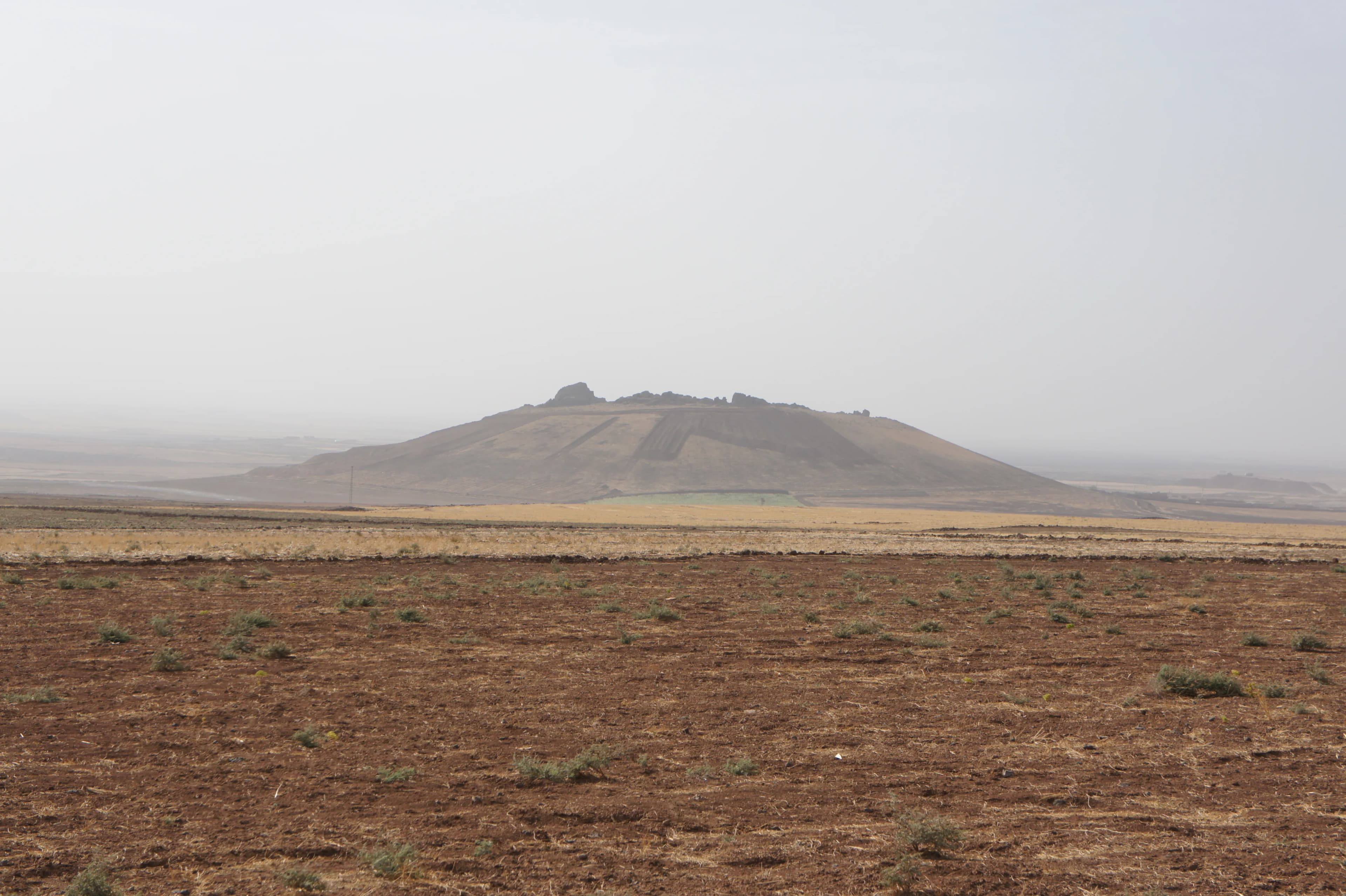 Kuşçu Mahallesi (Gırsarinc)