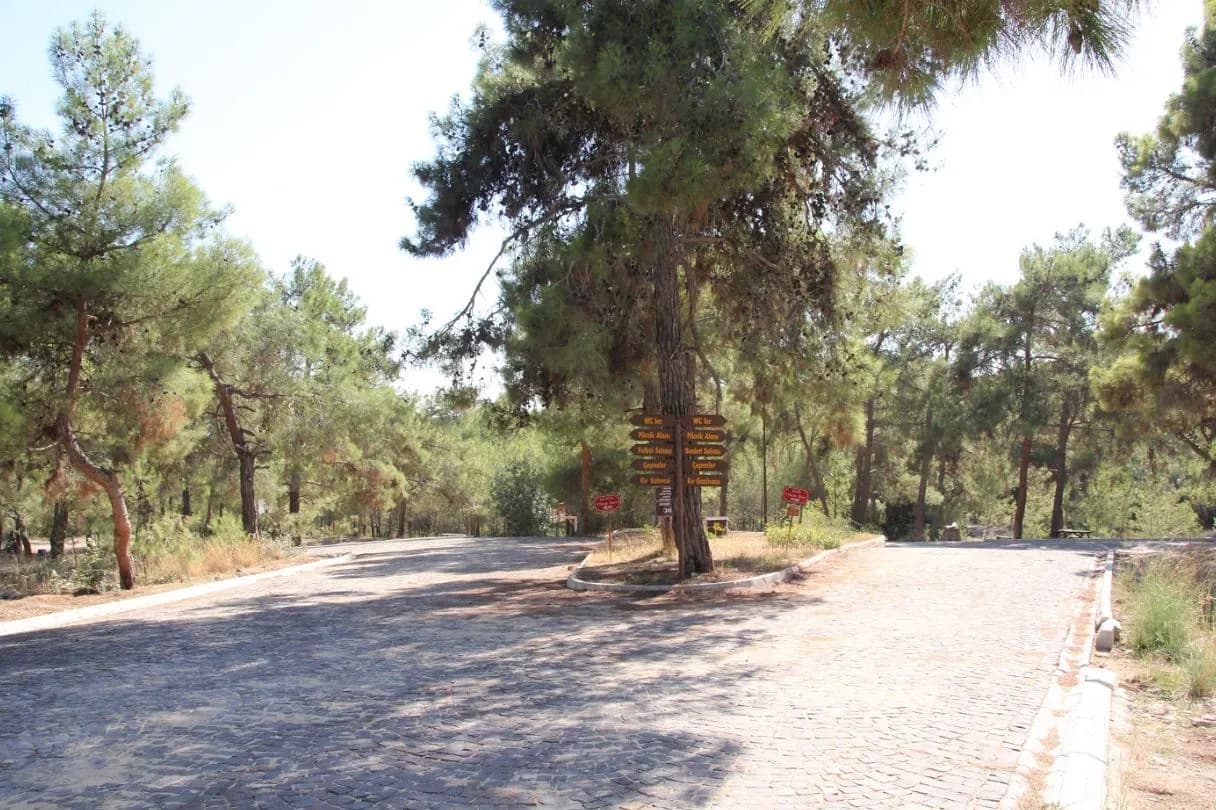 Kuyuluk Tabiat Parkı