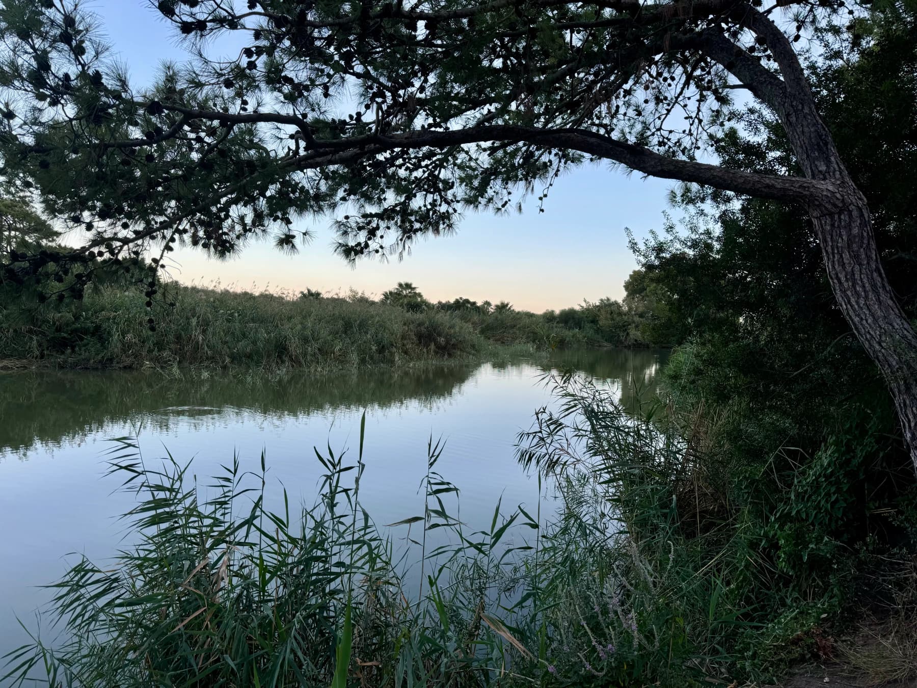 Liman, Konyaaltı