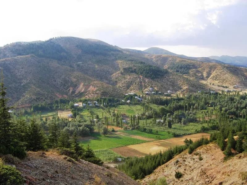 Mansurlu Mahallesi