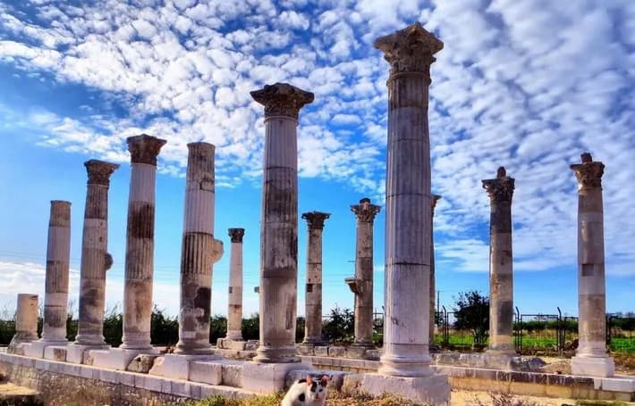 Mezitli