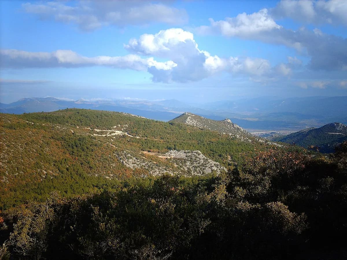 Osmaneli