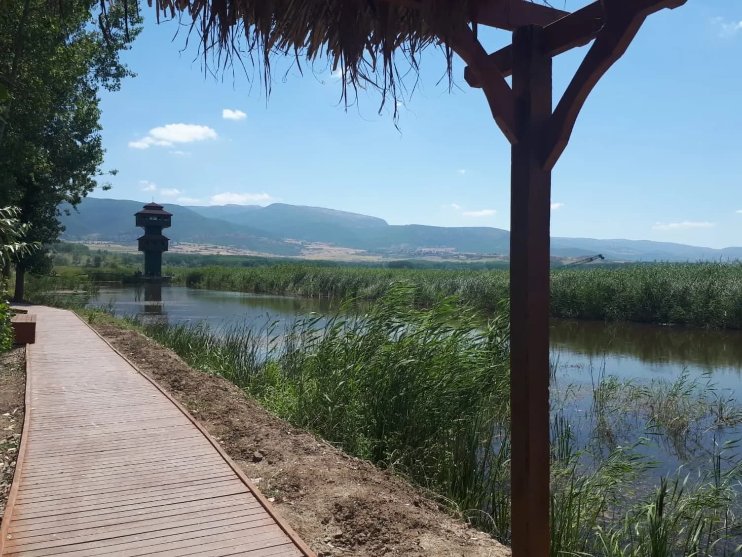 Pazar (Tokat)